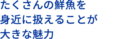 たくさんの鮮魚を身近に扱えることが大きな魅力